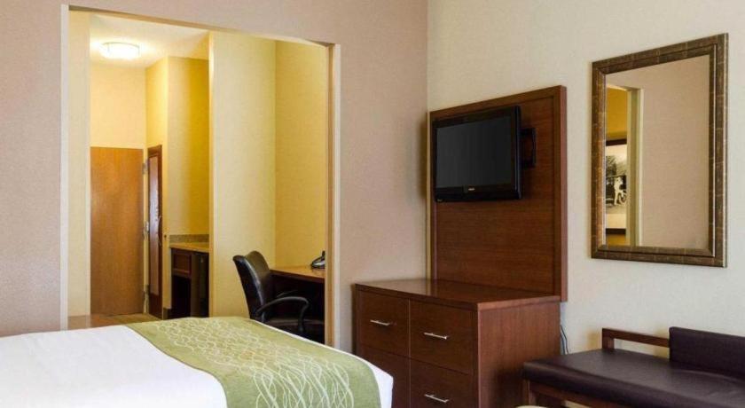 Comfort Suites Starkville Dış mekan fotoğraf